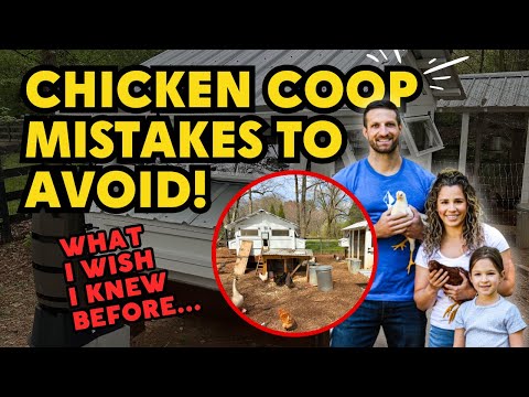 Top 10 Factors to Consider When Buying or Building a Chicken Coop.