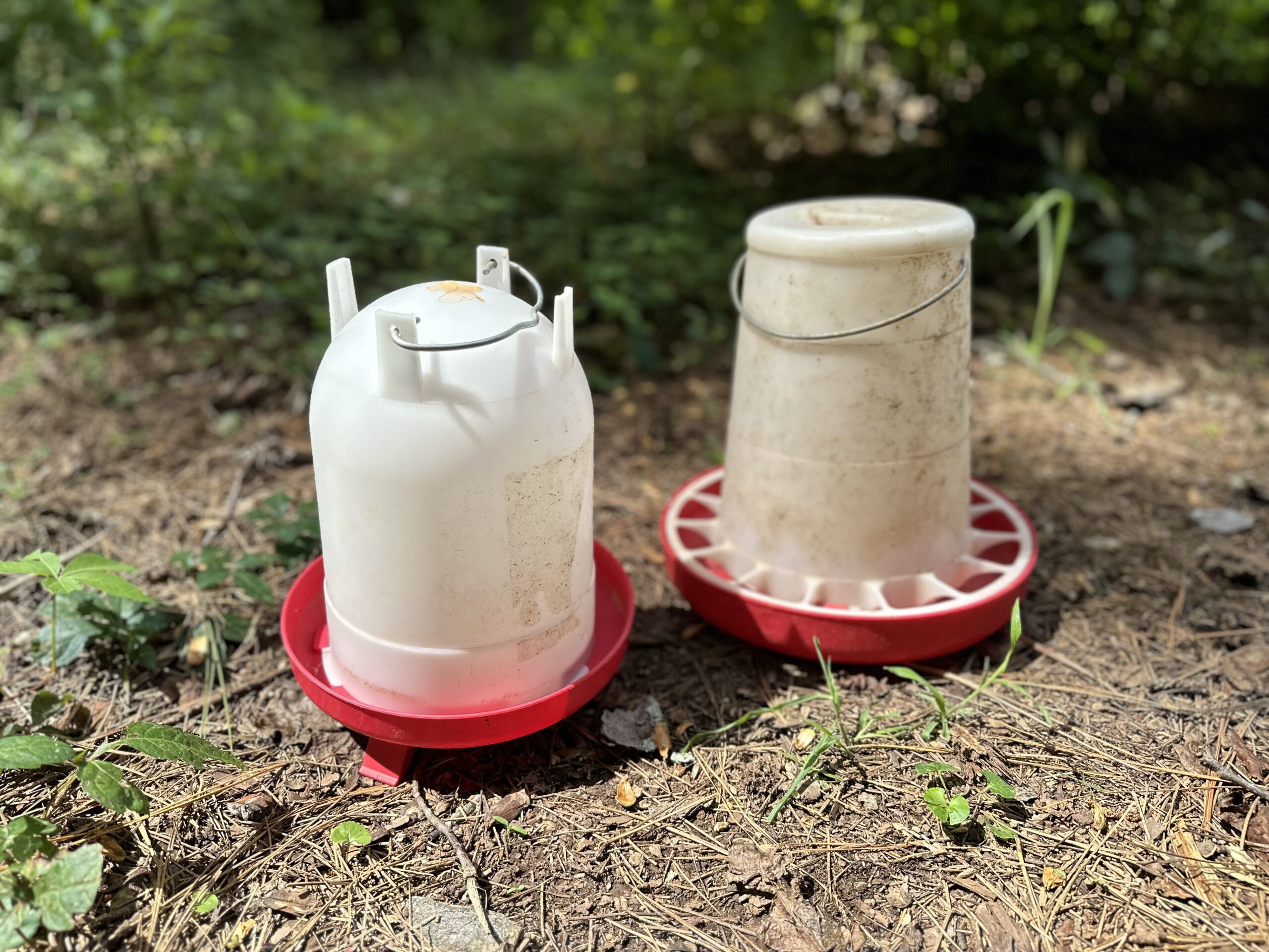 We use these duck feeders and waterers in our brooder.