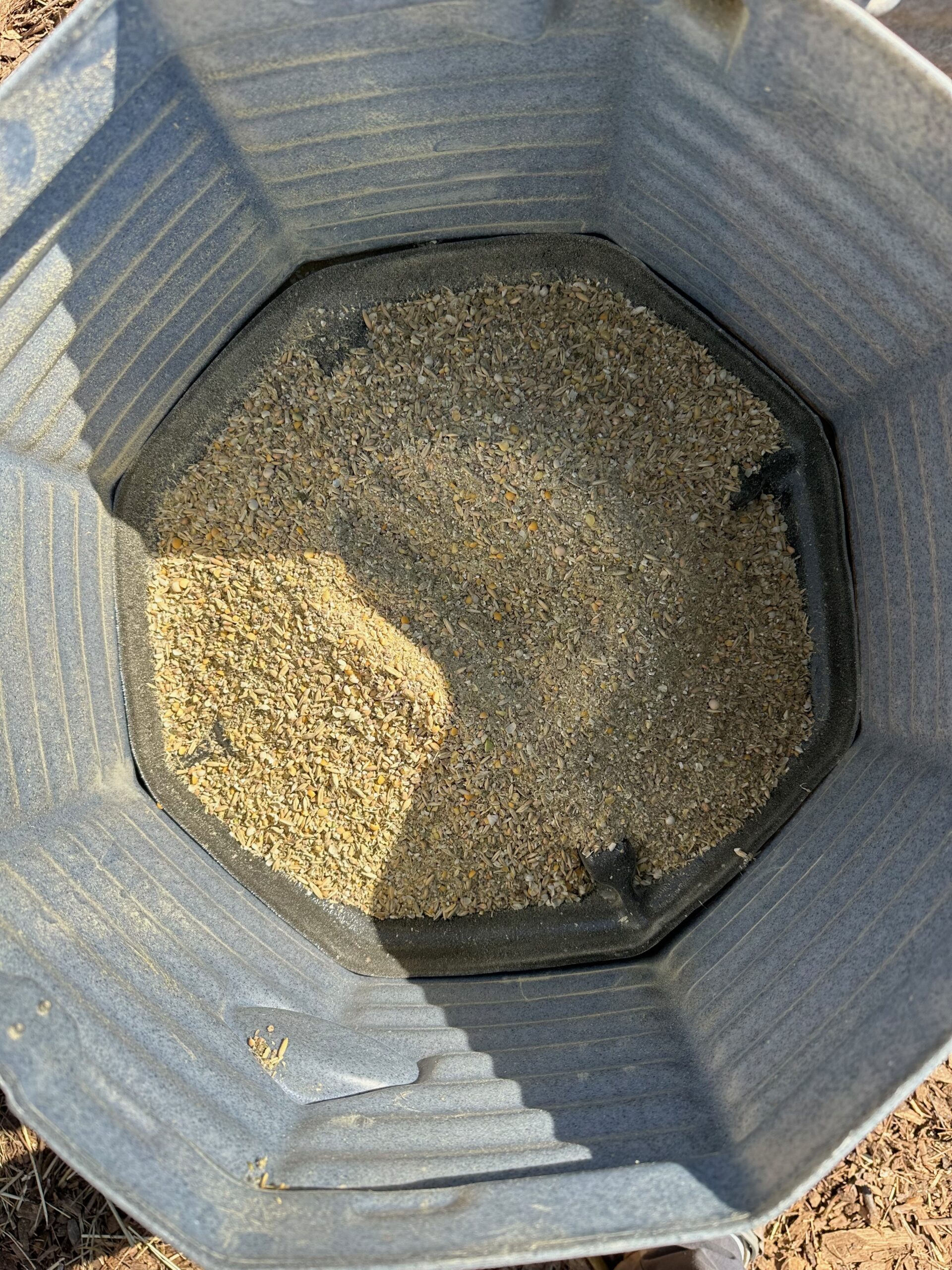 Depending on the size you pick, the silo holds 40 or 80 pounds of feed