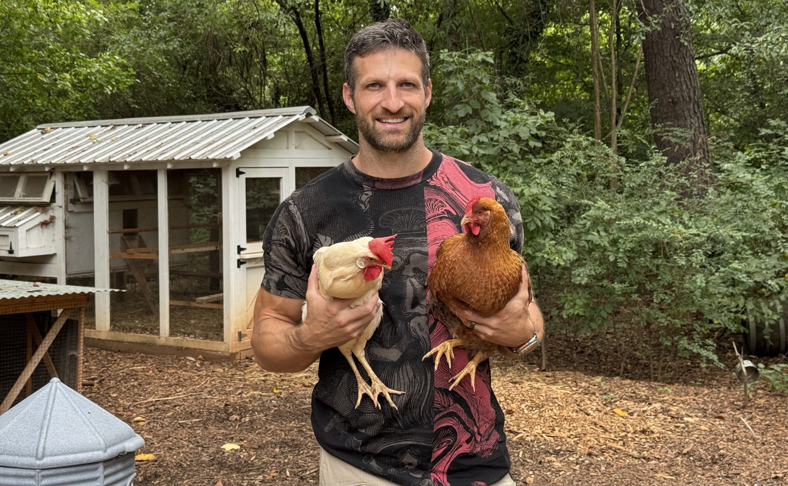 The smaller White Leghorns (left) lays more and larger eggs than our Bielefelders (right).