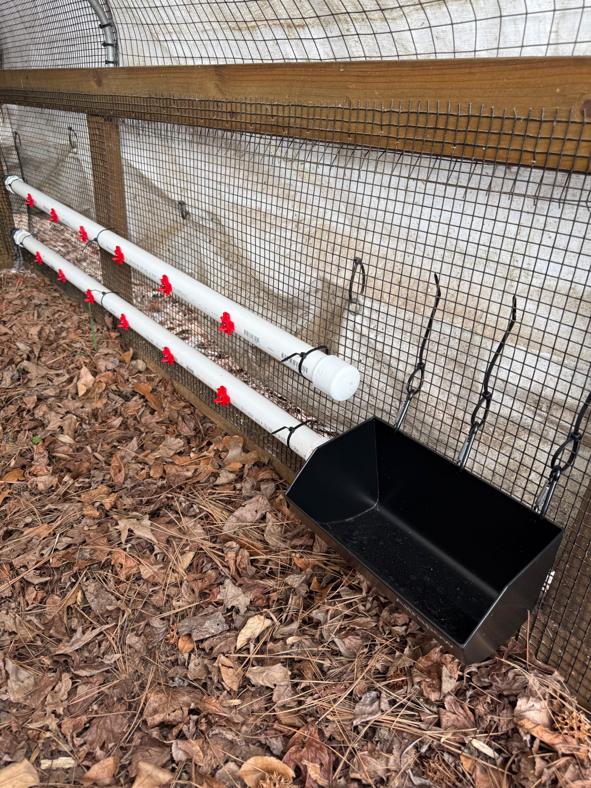 Nipple bars at various heights and a dedicated feeder for grit work great for birds of any size.