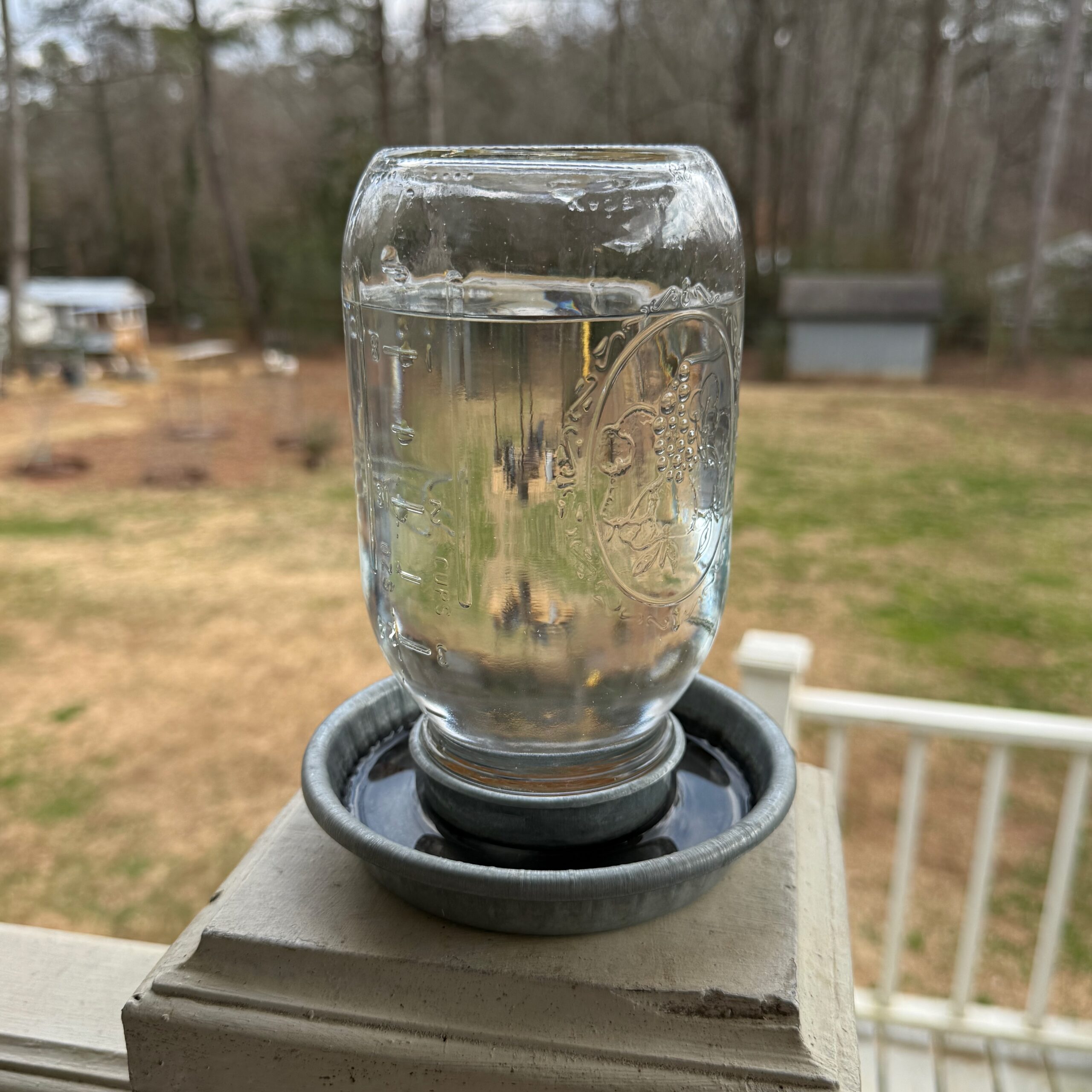 We provide Magic Water in these jars during the first few days of our chicks' arrival